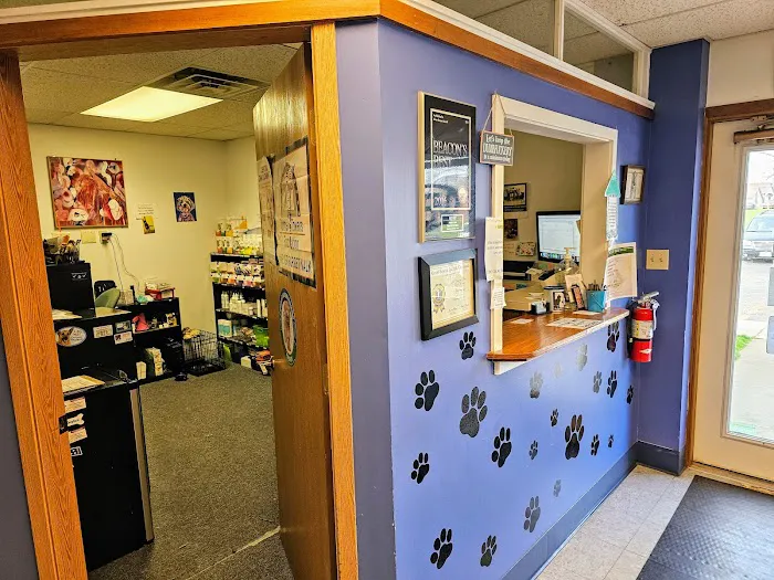 Pet Vet Animal Clinic 7