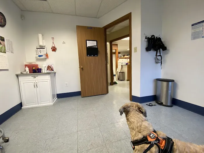 Pet Vet Animal Clinic 8