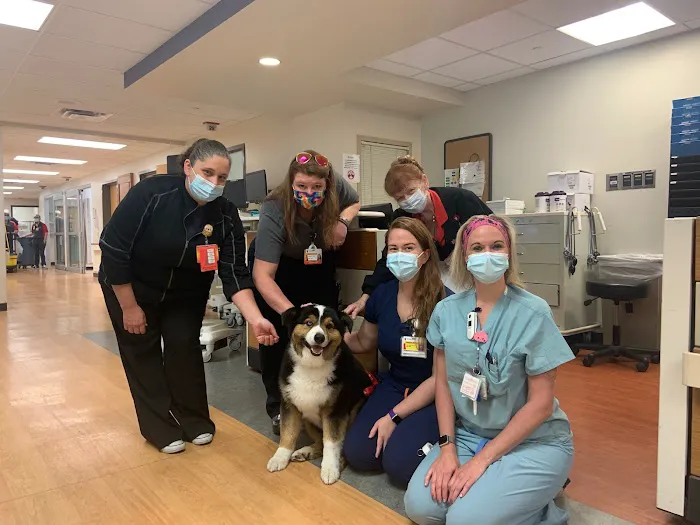 Yellow Creek Veterinary Surgery & Imaging 3