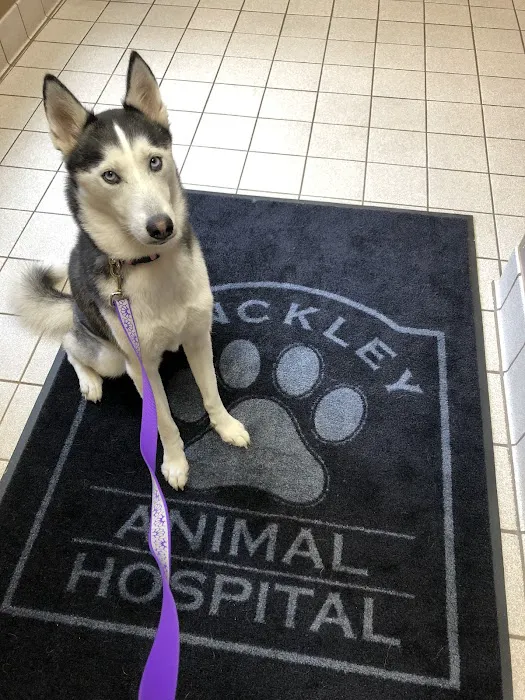 Hinckley Animal Hospital 8