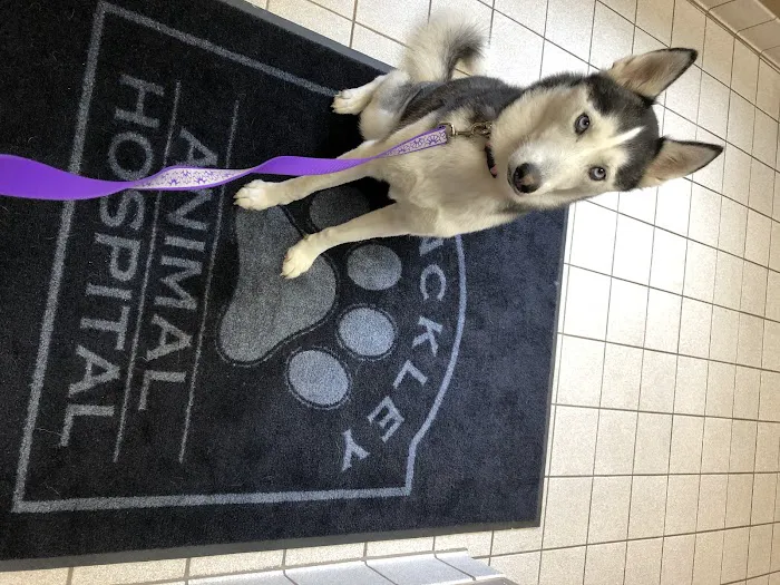 Hinckley Animal Hospital 4