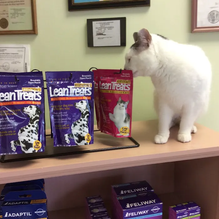 Animal Hospital-Fairview Park 12