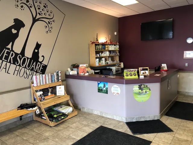 River Square Animal Hospital 5