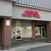 River Square Animal Hospital ico