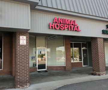River Square Animal Hospital