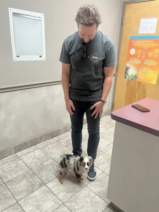 River Square Animal Hospital 10