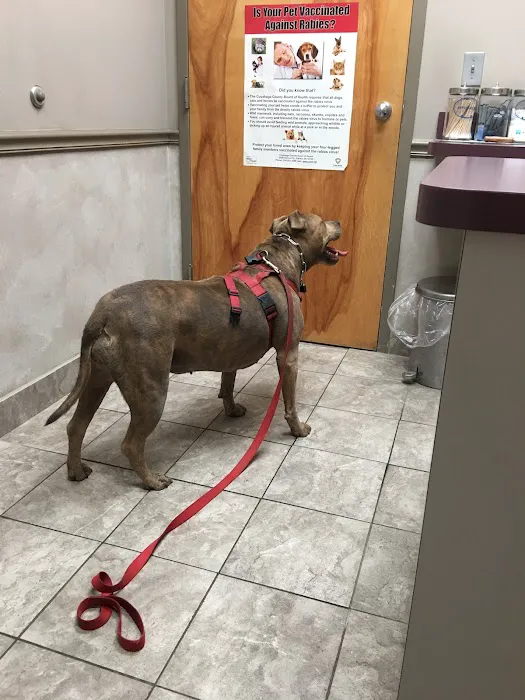 River Square Animal Hospital 6