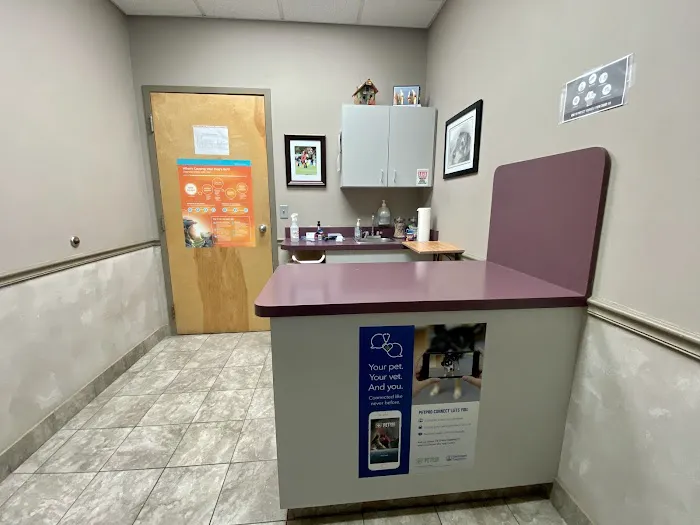 River Square Animal Hospital 3