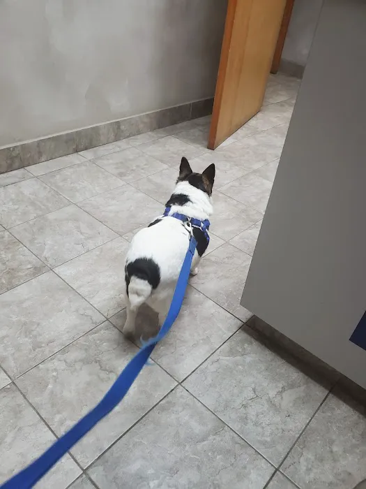 River Square Animal Hospital 4