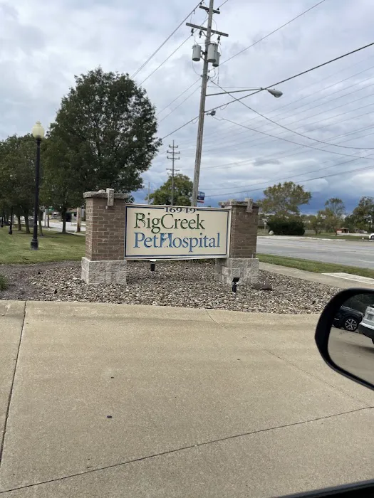 Big Creek Pet Hospital 12