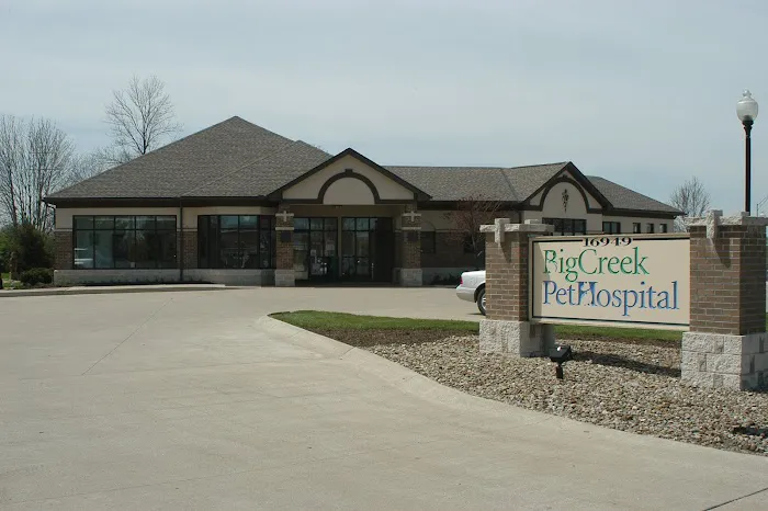 Big Creek Pet Hospital 12