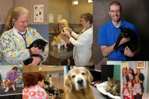 Big Creek Pet Hospital 12