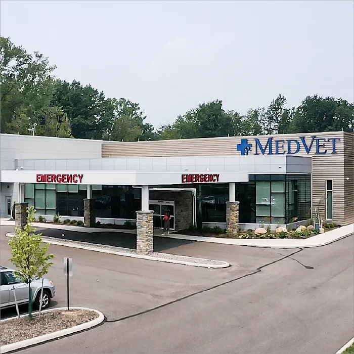 MedVet Cleveland 12