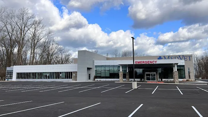 MedVet Cleveland 12