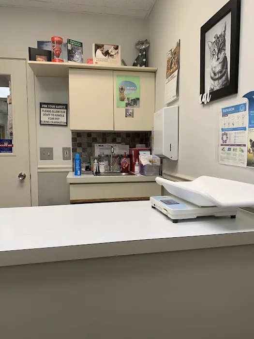 VCA Midpark Animal Hospital 12