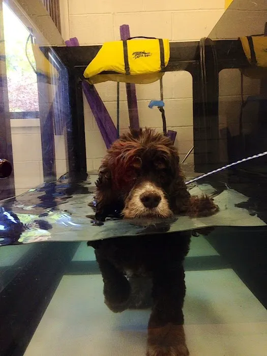 West Park Animal Hospital 12