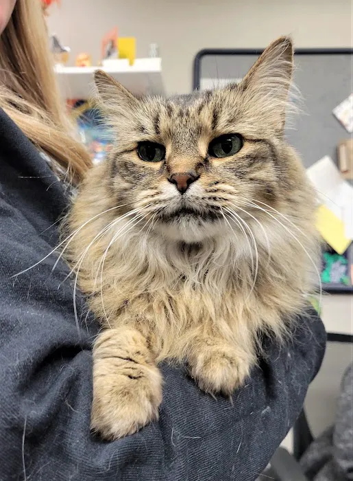 West Park Animal Hospital 12
