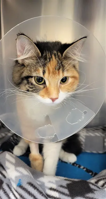 West Park Animal Hospital 12