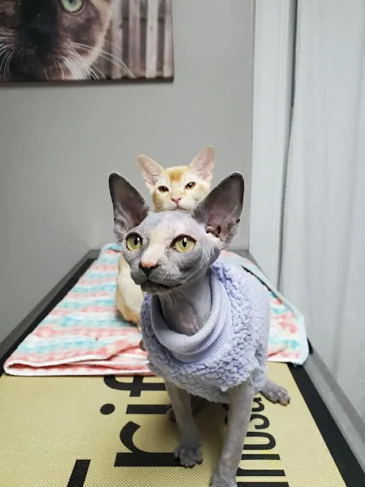 Hart's Animal Hospital - NOW MERGED WITH ANIMAL WELLNESS CENTER OF STRONGSVILLE 4