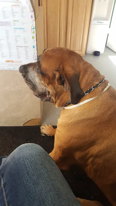 Hart's Animal Hospital - NOW MERGED WITH ANIMAL WELLNESS CENTER OF STRONGSVILLE 9