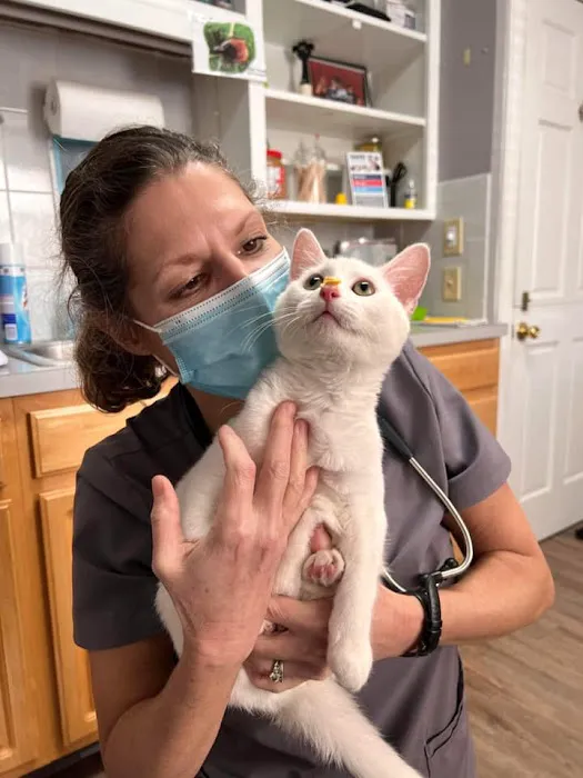 Hart's Animal Hospital - NOW MERGED WITH ANIMAL WELLNESS CENTER OF STRONGSVILLE 5