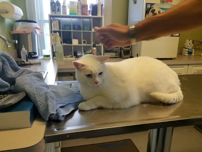 Hart's Animal Hospital - NOW MERGED WITH ANIMAL WELLNESS CENTER OF STRONGSVILLE 7