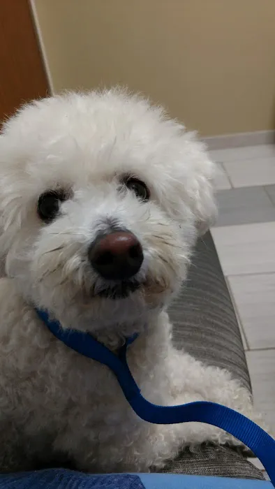 VCA York Royalton Animal Hospital 1