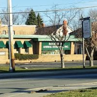 Rocky River Animal Hospital ico