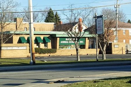 Rocky River Animal Hospital