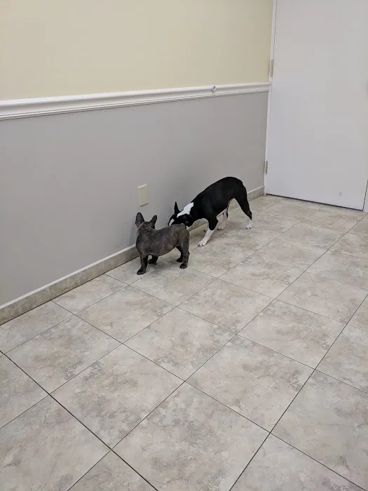 Rocky River Animal Hospital 12