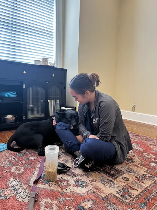 Kindred Veterinary Care 1