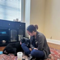 Kindred Veterinary Care ico