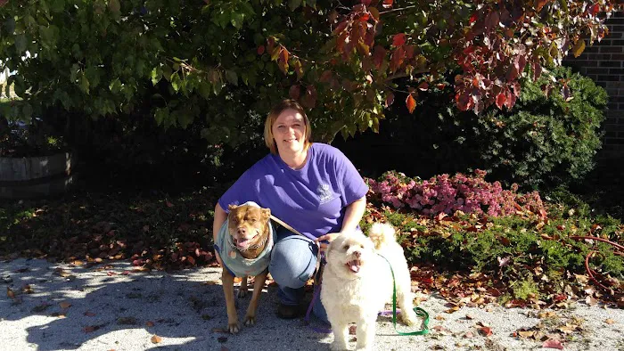 Callaway County Small Animal Veterinary Clinic 10