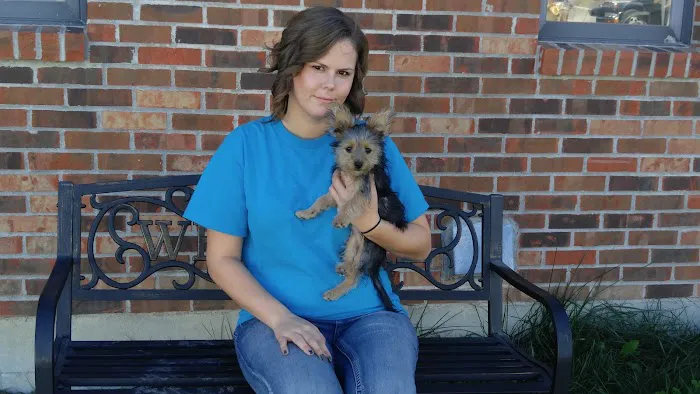 Callaway County Small Animal Veterinary Clinic 9