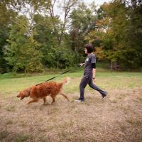 Trailside Animal Hospital ico
