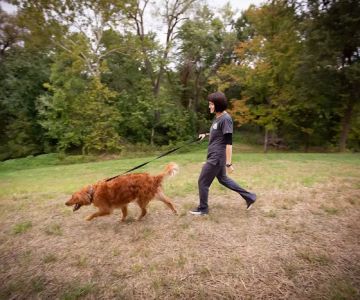 Trailside Animal Hospital