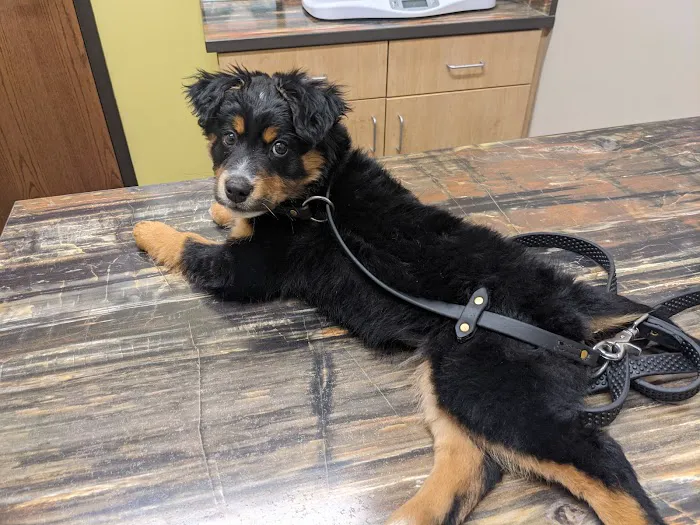 Trailside Animal Hospital 3