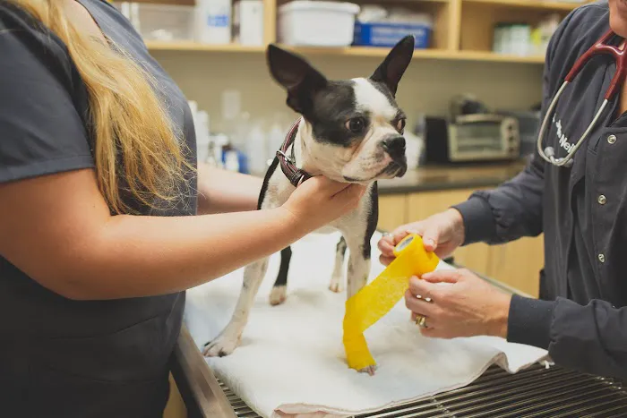 Trailside Animal Hospital 9