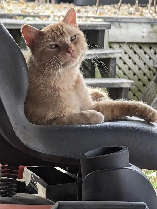 The Spay Neuter Project 8