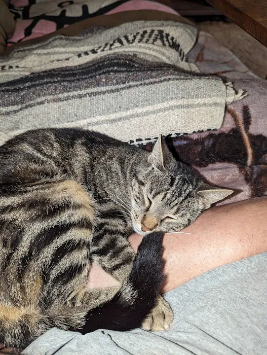 The Spay Neuter Project 9