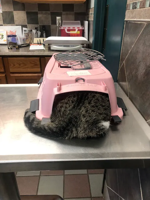 R Veterinary at Columbia 3