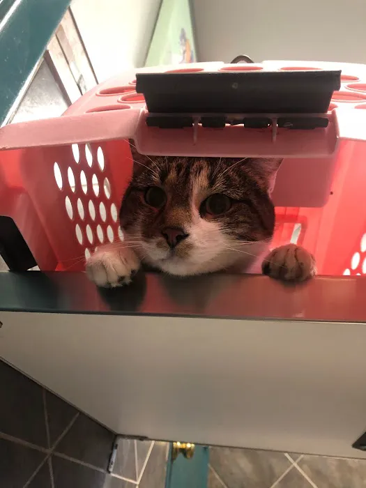 R Veterinary at Columbia 6