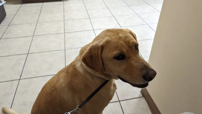 Midwest Veterinary Clinic 10