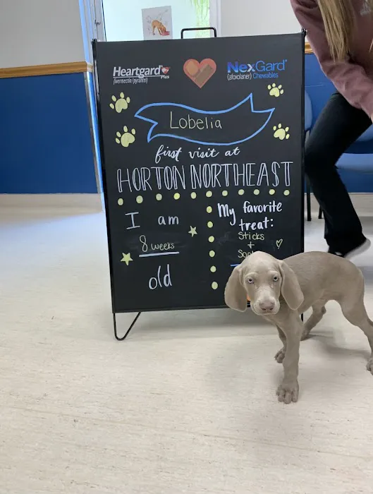 Horton Animal Hospital-Northeast 5