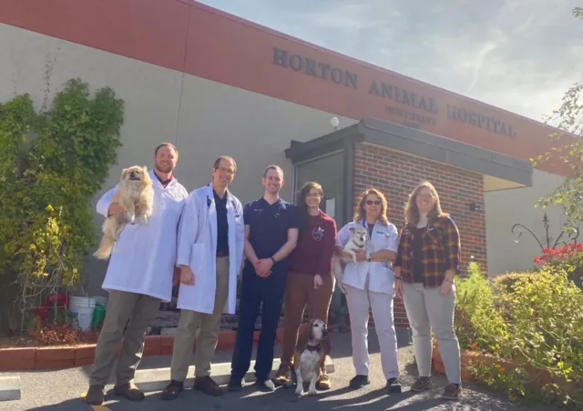 Horton Animal Hospital-Northeast 10