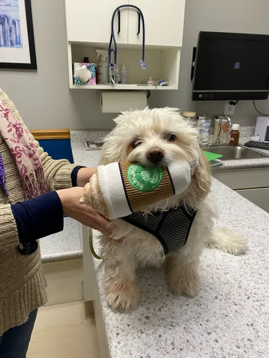 Horton Animal Hospital-Northeast 6