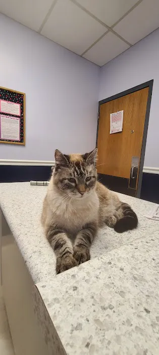 Horton Animal Hospital-Northeast 1