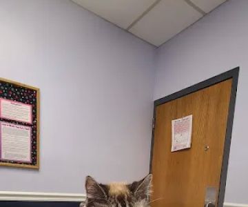Horton Animal Hospital-Northeast