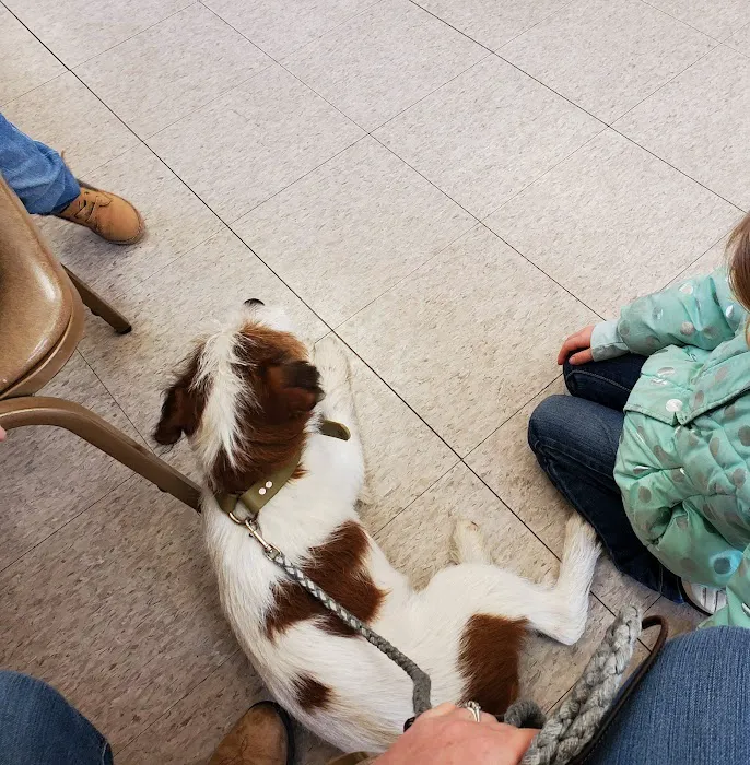 Marshfield Veterinary Clinic 12