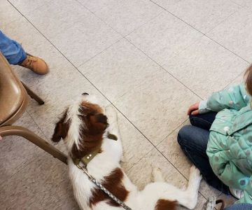 Marshfield Veterinary Clinic